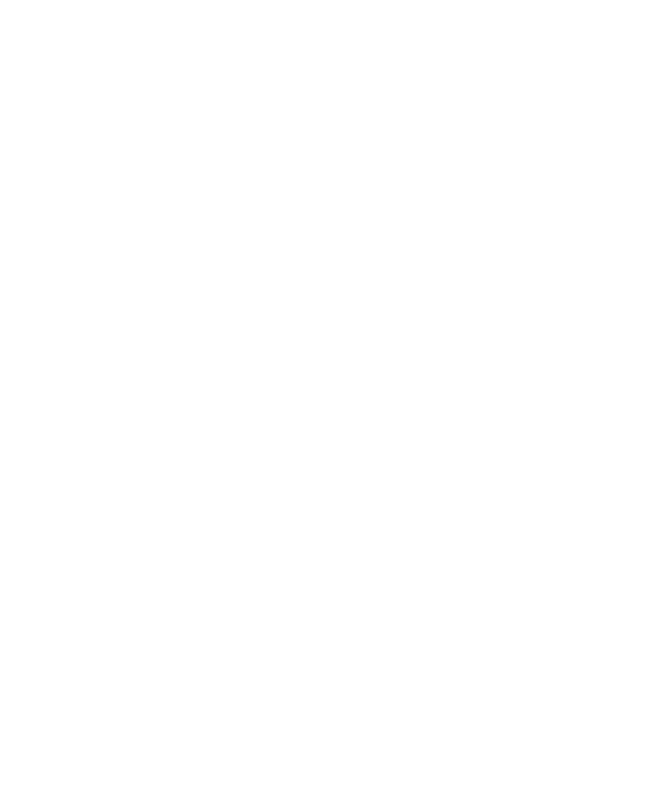 Rapptr